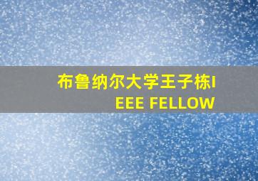 布鲁纳尔大学王子栋IEEE FELLOW